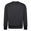 Grey parajumpers sweatshirt back picture